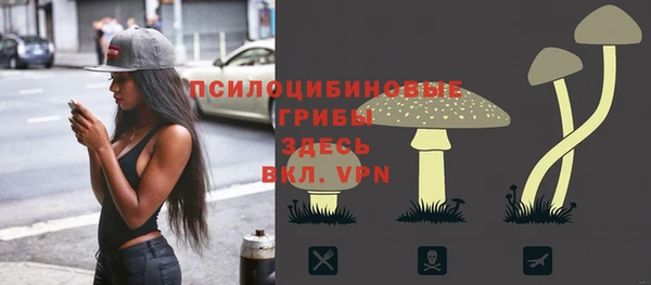 ГАЛЛЮЦИНОГЕННЫЕ ГРИБЫ Абдулино