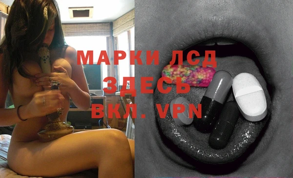 винт Абаза