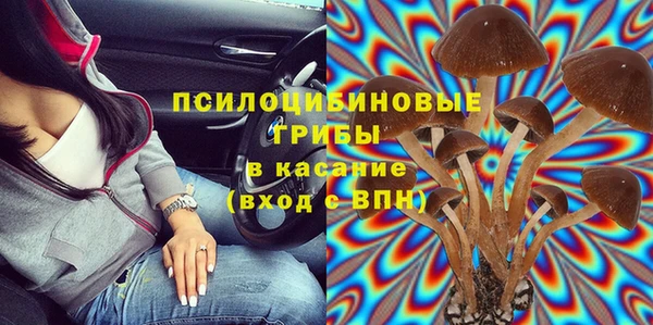 ГАЛЛЮЦИНОГЕННЫЕ ГРИБЫ Абдулино