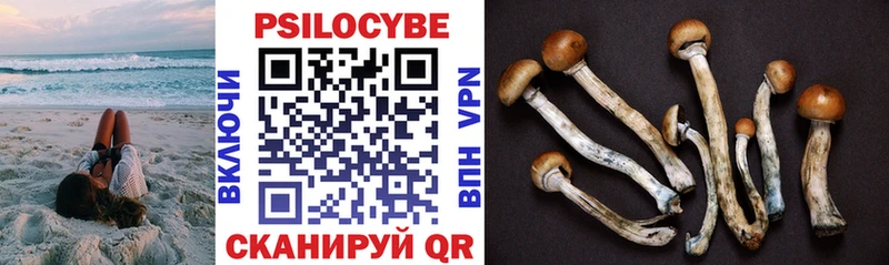 Псилоцибиновые грибы Psilocybe сколько стоит Емва